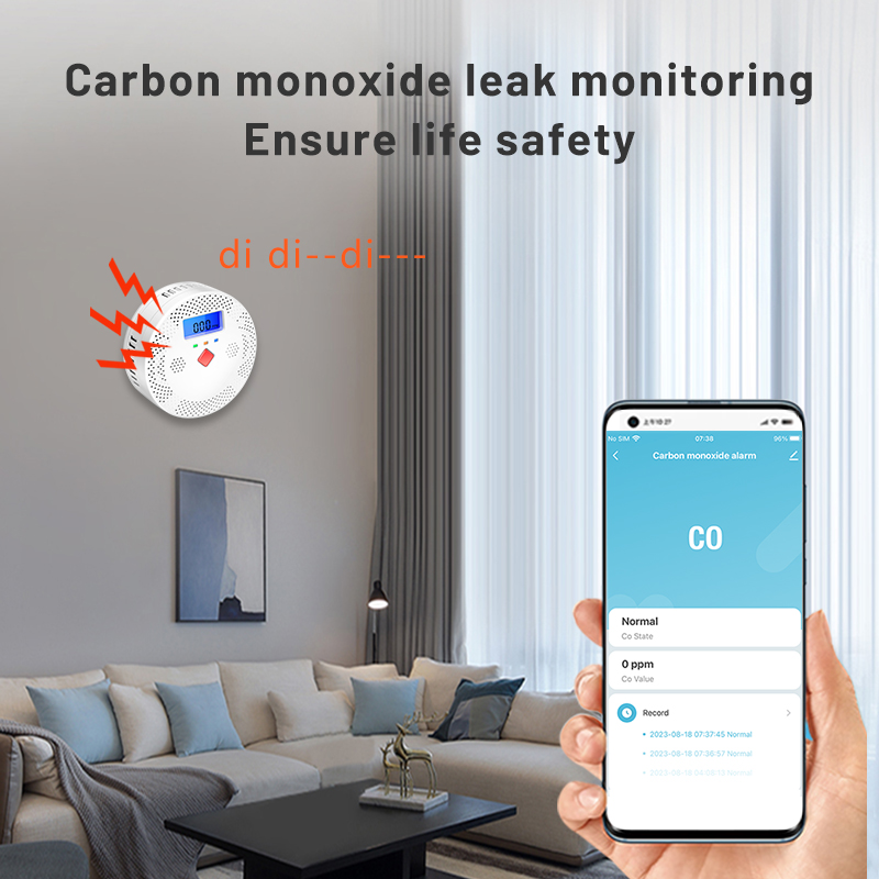 Tuya WiFi Smart Carbon Monoxid - Co Detector Plug บทวิจารณ์และราคา